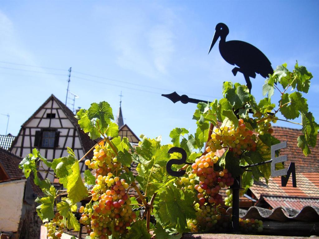 B&B Le Clos Des Raisins ベーブレンハイム エクステリア 写真