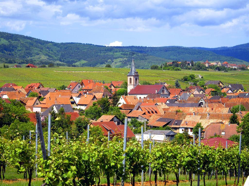 B&B Le Clos Des Raisins ベーブレンハイム エクステリア 写真