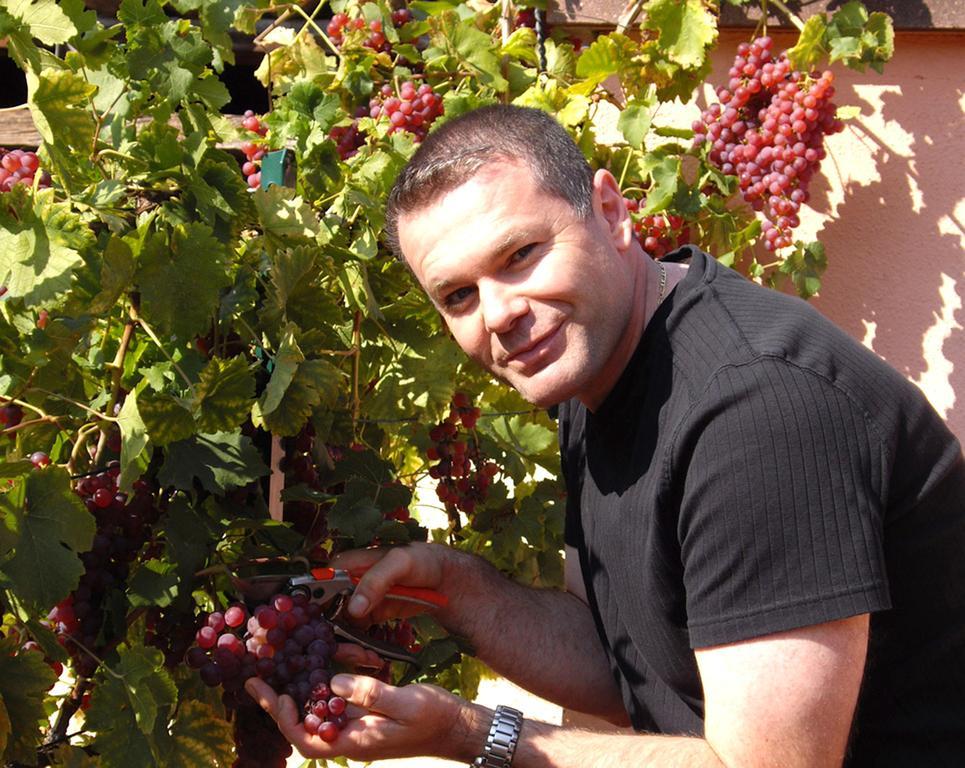 B&B Le Clos Des Raisins ベーブレンハイム エクステリア 写真